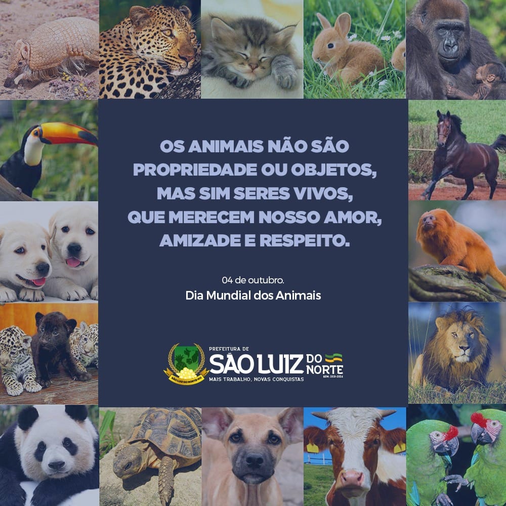 De Outubro Dia Dos Animais Prefeitura De S O Luiz Do Norte