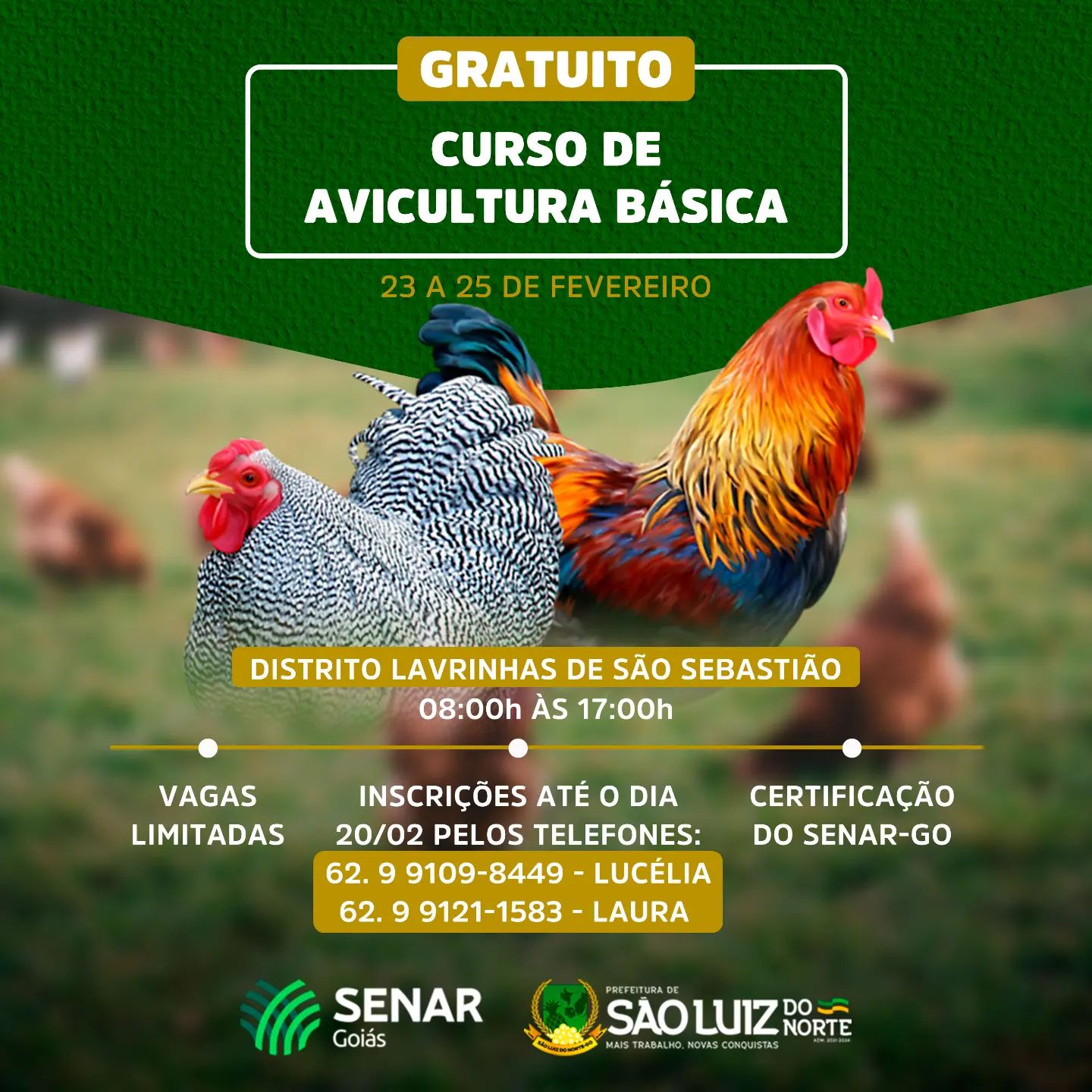 CURSO DE AVICULTURA BÁSICA Prefeitura de São Luiz do Norte